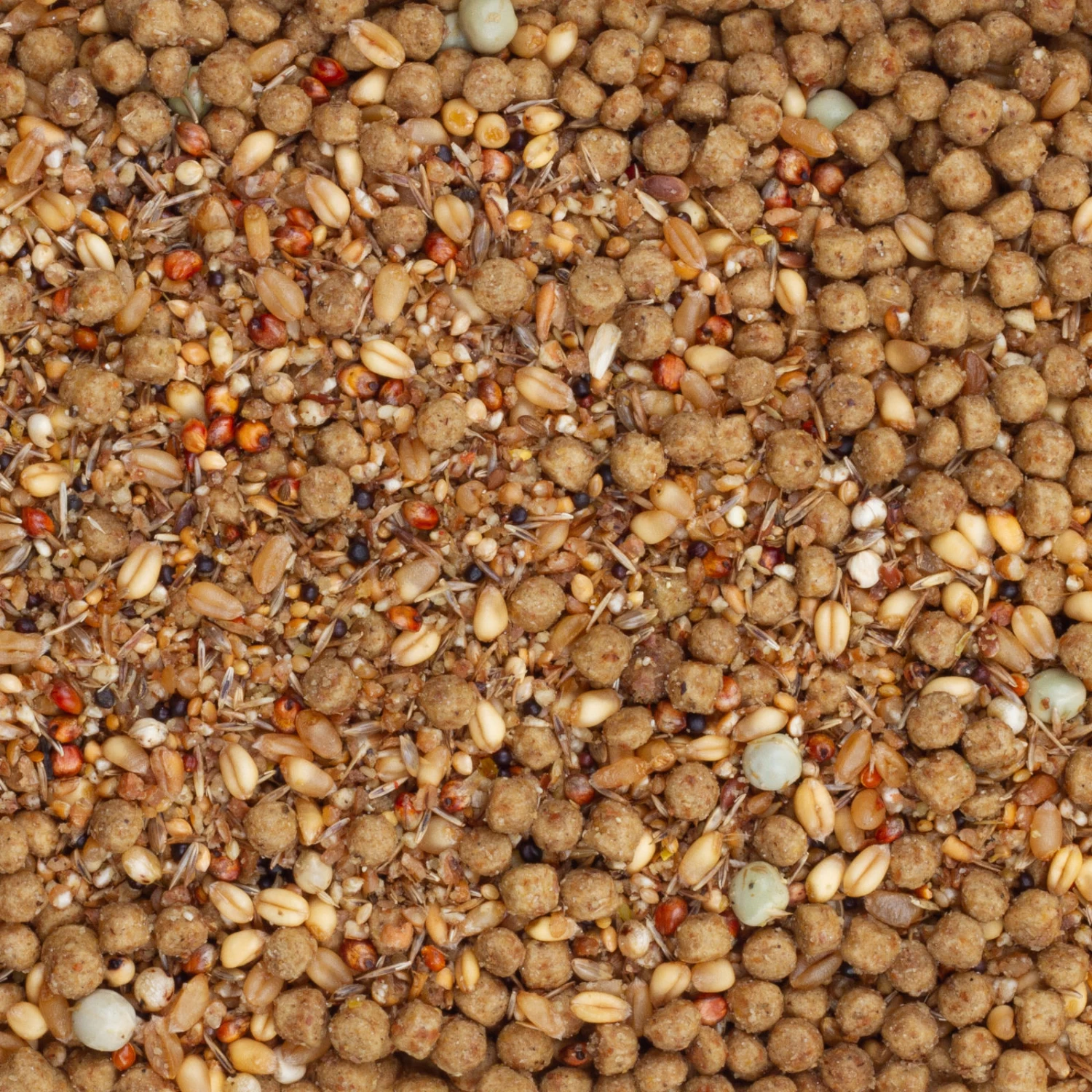 Beyers Energy Tovo 12kg 3 Beyers Energy Tovo 12kg