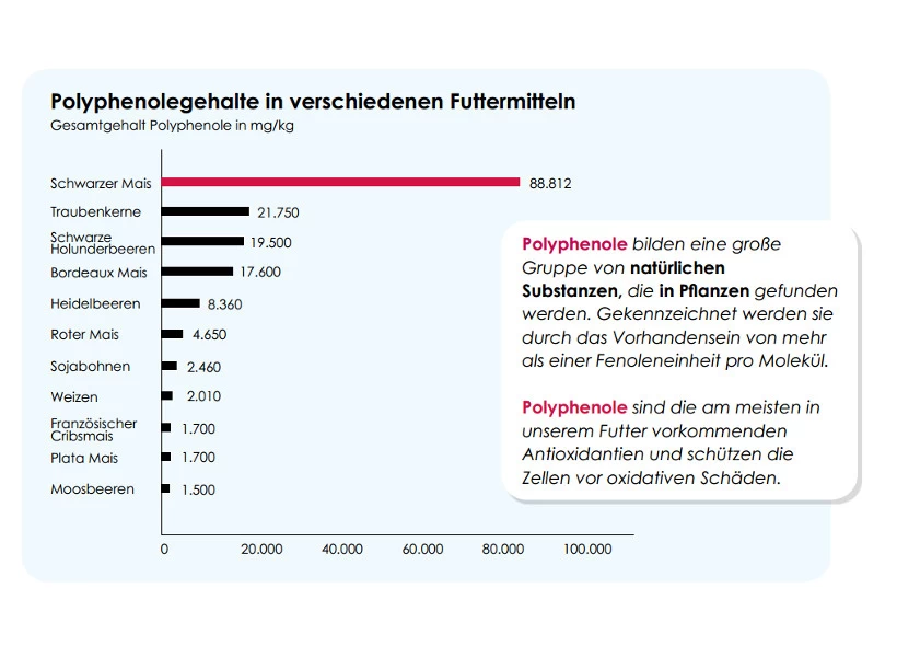 Versele Master R Exclusiv 20kg 5 Versele Master R Exclusiv 20kg - Image 3