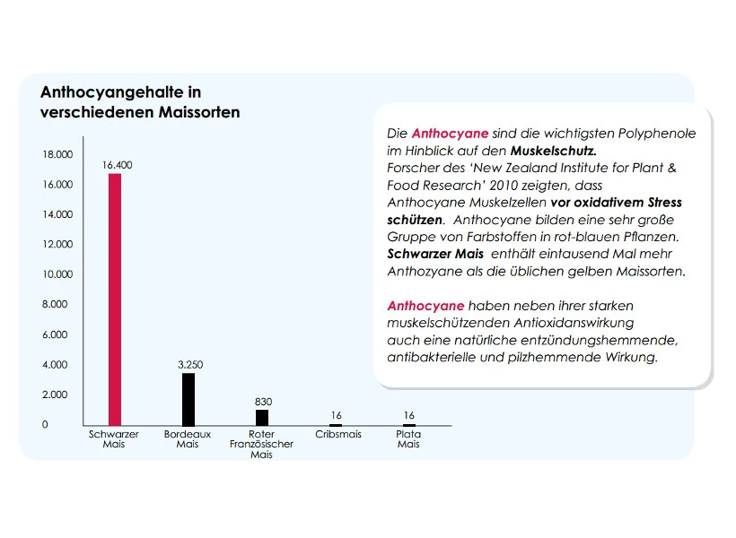 Versele Winter Plus I.C.⁺ 20kg 6 Versele Winter Plus I.C.⁺ 20kg - Image 4
