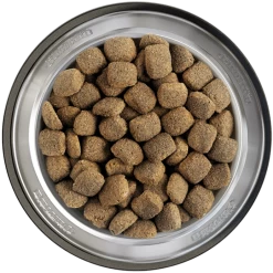 Belcando Junior Maxi 2er-Pack 25kg -Josera Store belcando napf junior maxi 800x8000