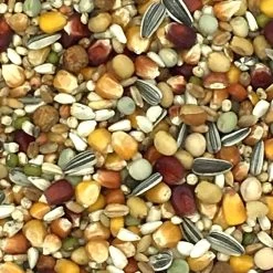 Beyers Galaxy Long Distance TT 20kg