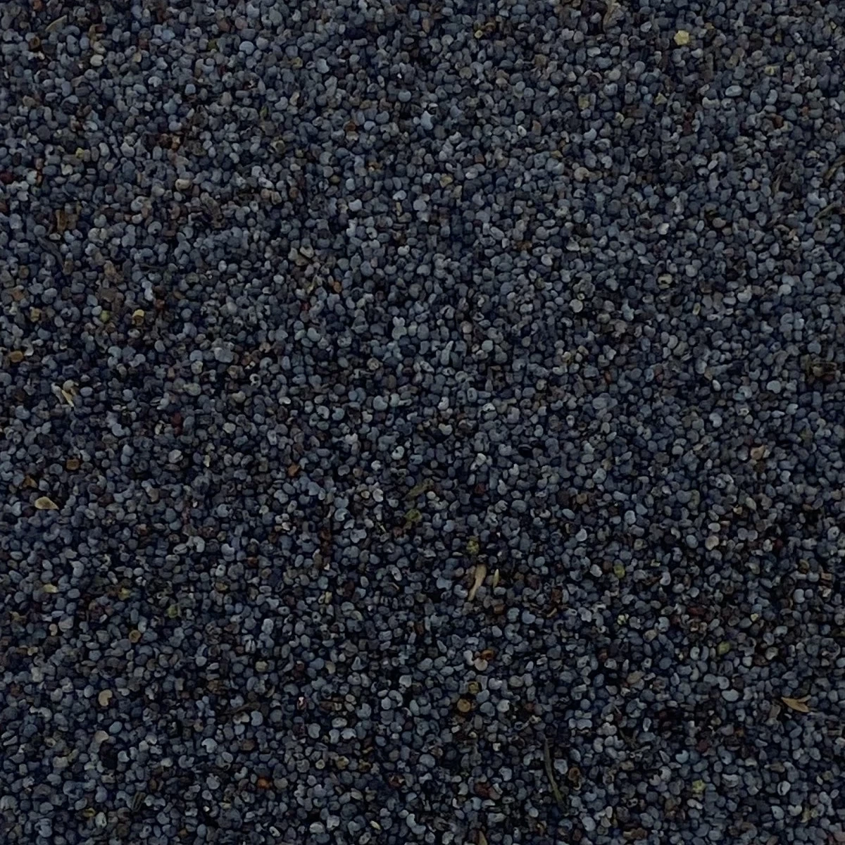 Blaumohnsamen - Vanrobaeys 25kg 3 Blaumohnsamen - Vanrobaeys 25kg