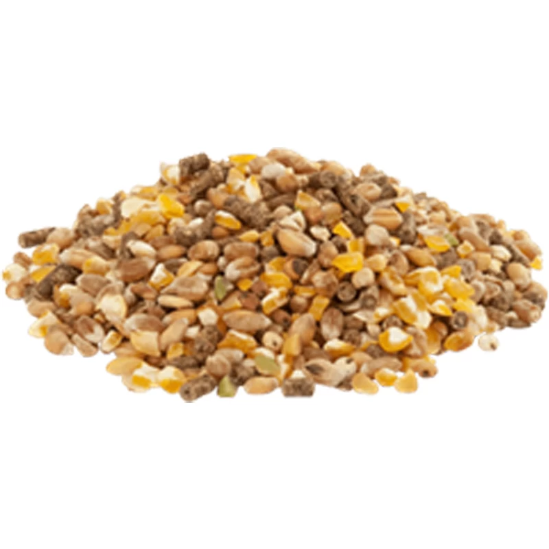 Versele Gold 4 Mix 20kg 5 Versele Gold 4 Mix 20kg - Image 3