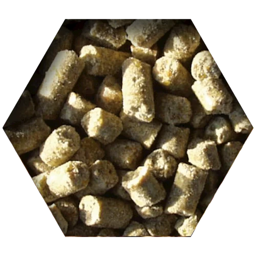 Beyers Goldcorn Koopman 2,5kg 4 Beyers Goldcorn Koopman 2,5kg - Image 2