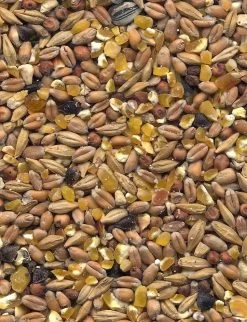 Havens Scharrel-Graan - Körnerfutter 25kg 7 Havens Scharrel-Graan - Körnerfutter 25kg -Josera Store graanmengelingenscharrelgraan