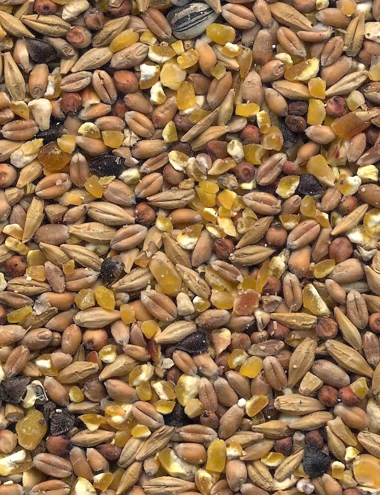 Havens Scharrel-Graan - Körnerfutter 25kg 5 Havens Scharrel-Graan - Körnerfutter 25kg - Image 3