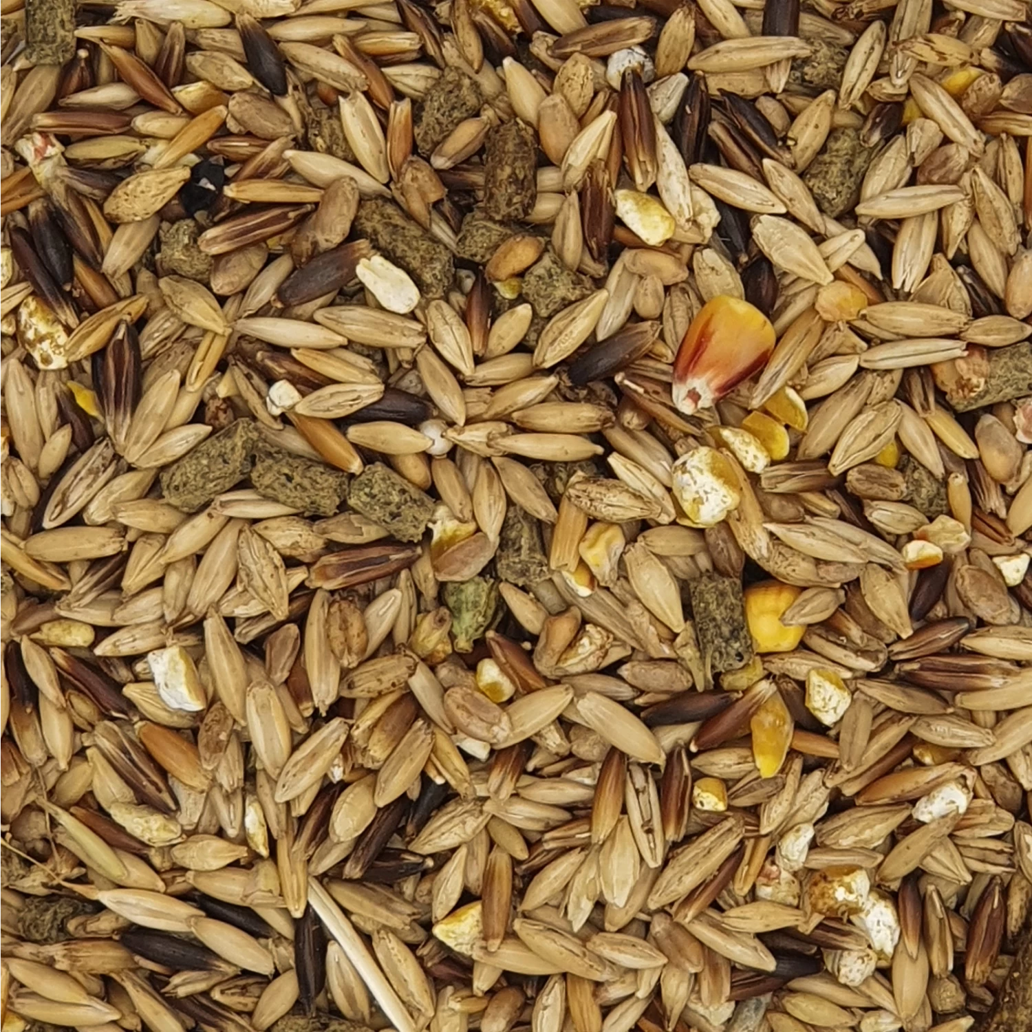 Havens Kentucky Lite E - Energie 25kg 2 Havens Kentucky Lite E - Energie 25kg