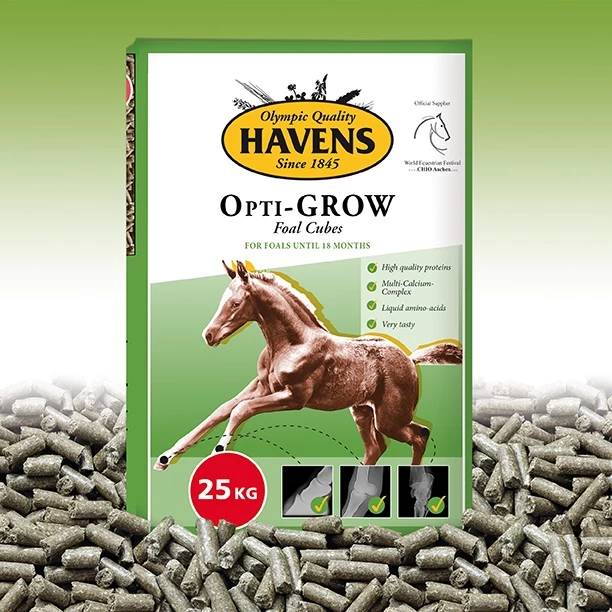 Havens Opti-Grow - Fohlen Aufzucht 25kg 4 Havens Opti-Grow - Fohlen Aufzucht 25kg - Image 2