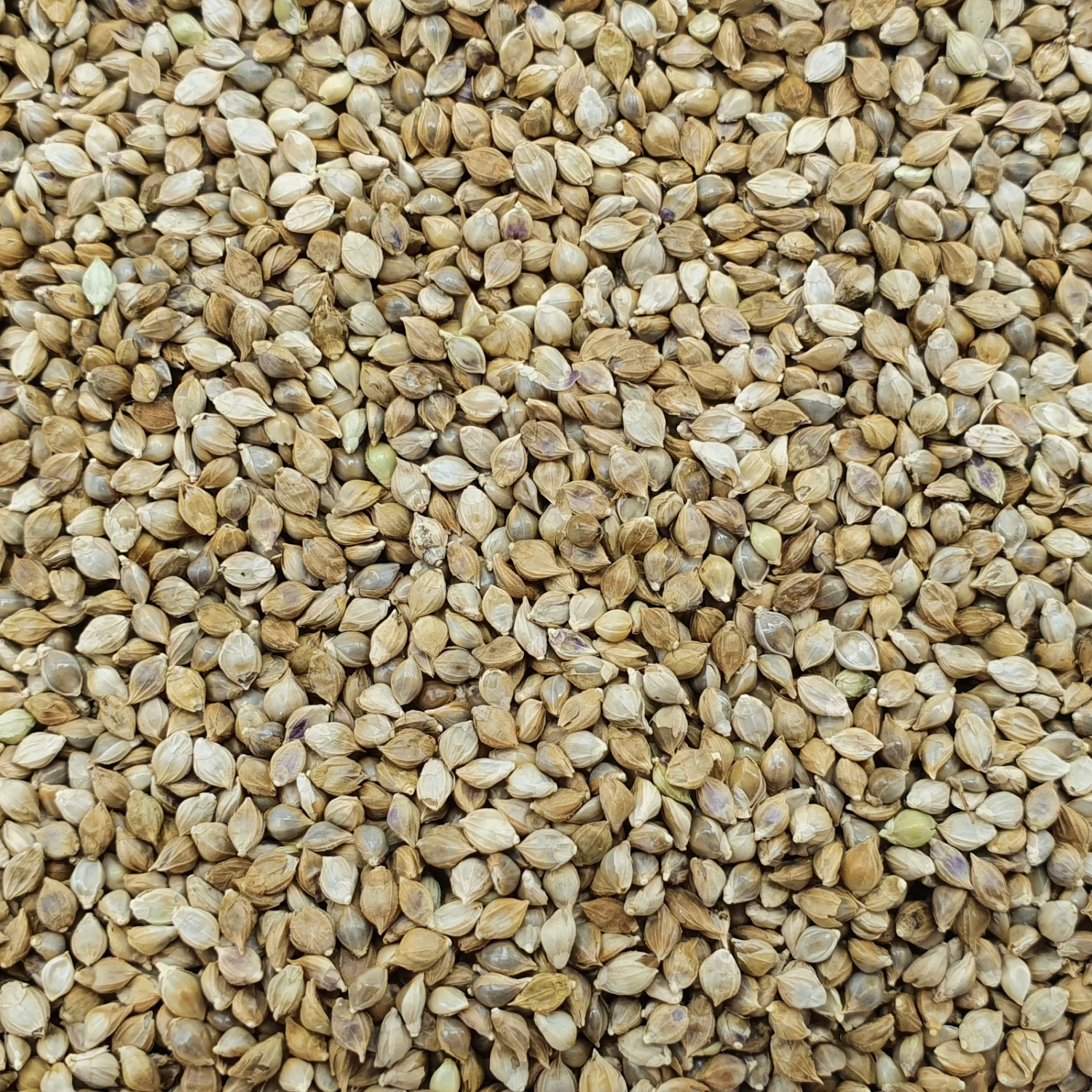 Hirse Japan - Vanrobaeys 15kg 3 Hirse Japan - Vanrobaeys 15kg