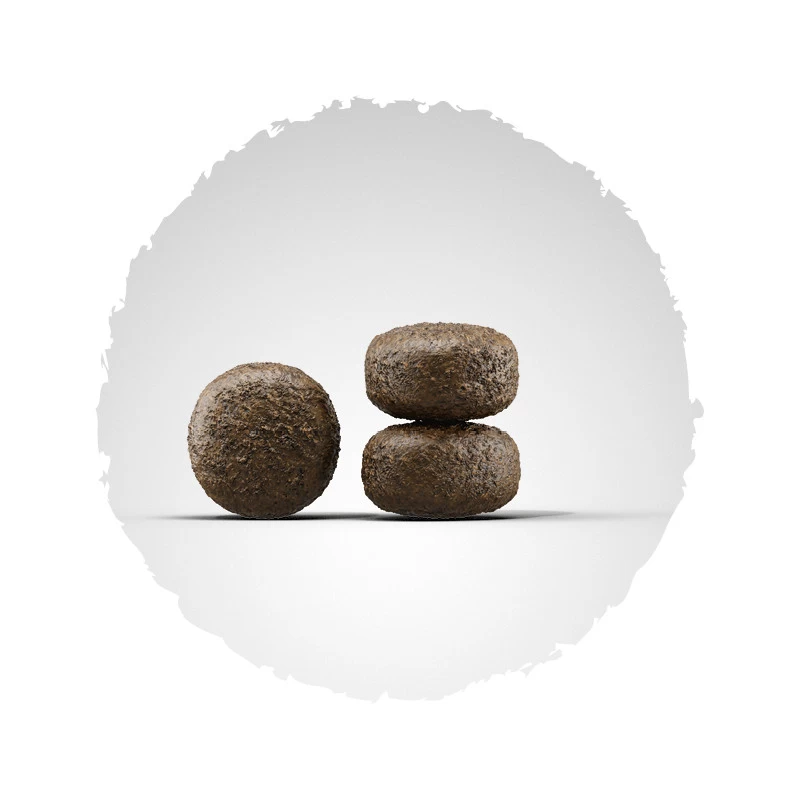 Josera Light&Vital 2er-Pack 30kg 4 Josera Light&Vital 2er-Pack 30kg - Image 2