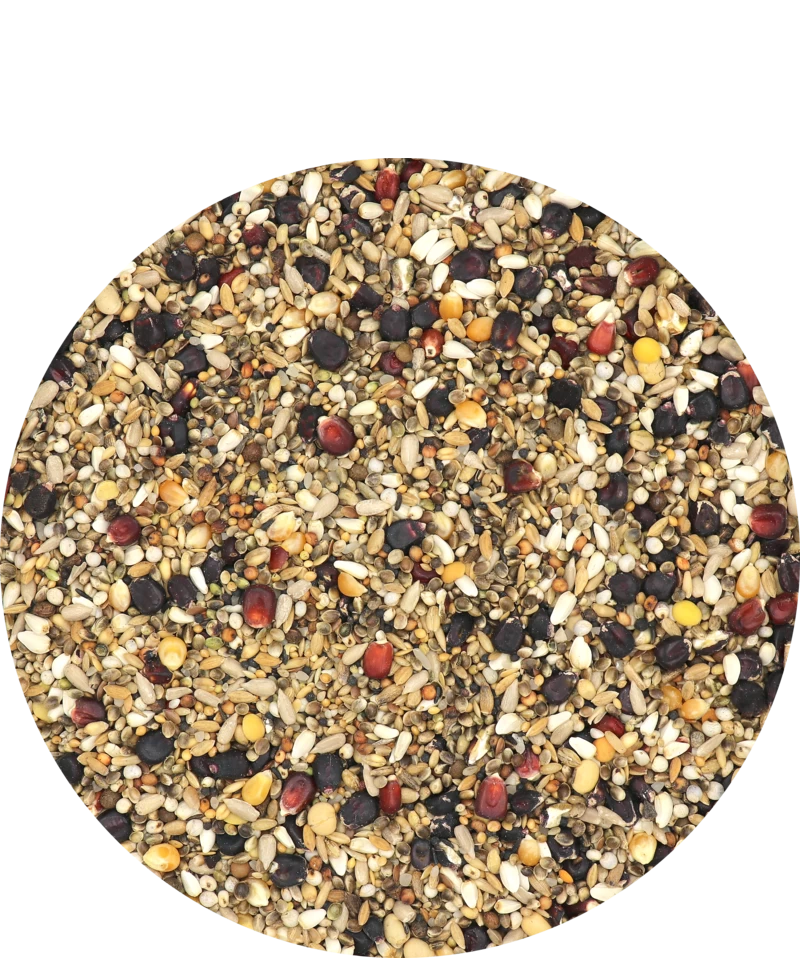 Versele Master R Exclusiv 20kg 3 Versele Master R Exclusiv 20kg