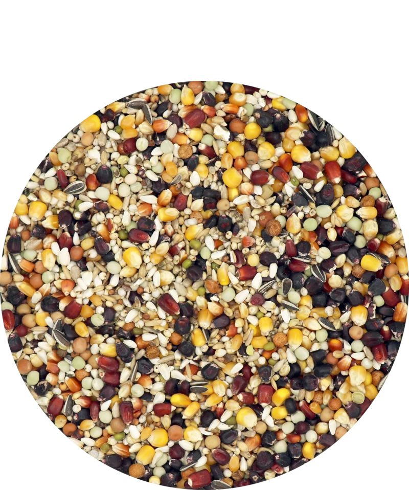 Versele Master Witwer 20kg 3 Versele Master Witwer 20kg