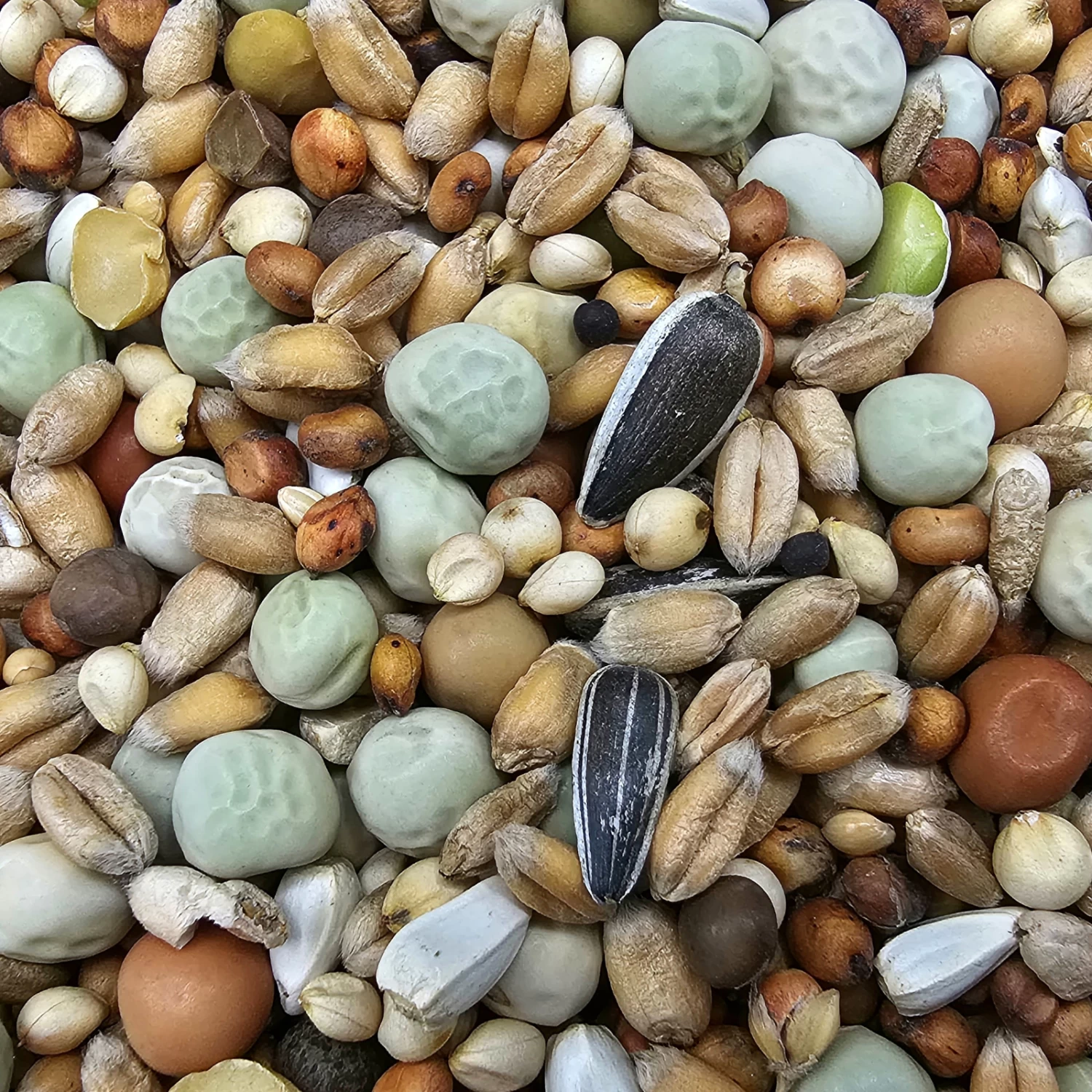 Paloma Nr.48 Super Zucht U. Jungt. Ohne Mais 25kg 2 Paloma Nr.48 Super Zucht U. Jungt. Ohne Mais 25kg