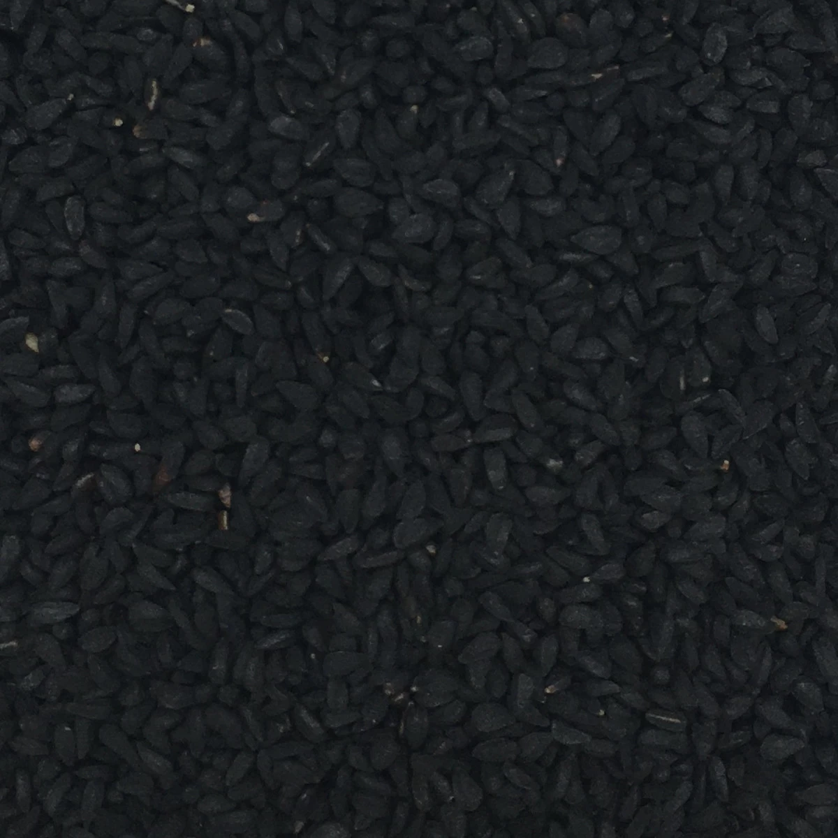 Schwarzkümmelsaat - Gladen 2,5kg 3 Schwarzkümmelsaat - Gladen 2,5kg