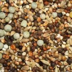 Spinne Rasse K - Kurzschnäbler 25kg