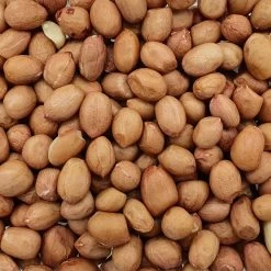Erdnüsse Spitzenqualität - Spinne 25kg
