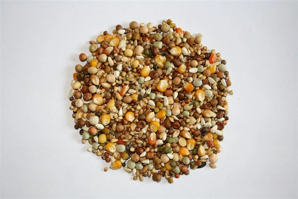 Versele Start Plus I.C.⁺ 20kg 3 Versele Start Plus I.C.⁺ 20kg