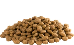 Versele Floating Ibis 15kg -Josera Store versele floating ibis inhalt