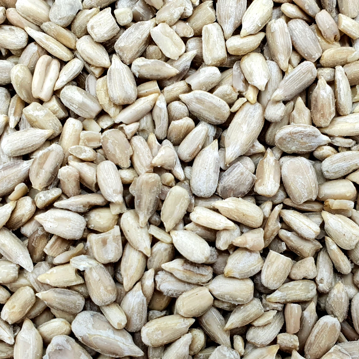 Sonnenblumenkerne Geschält - Vanrobaeys 25kg 3 Sonnenblumenkerne Geschält - Vanrobaeys 25kg