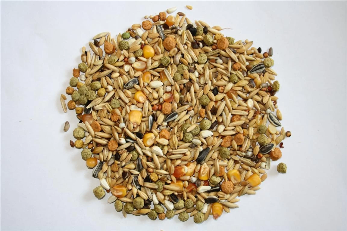 Versele Winter Plus I.C.⁺ 20kg 3 Versele Winter Plus I.C.⁺ 20kg