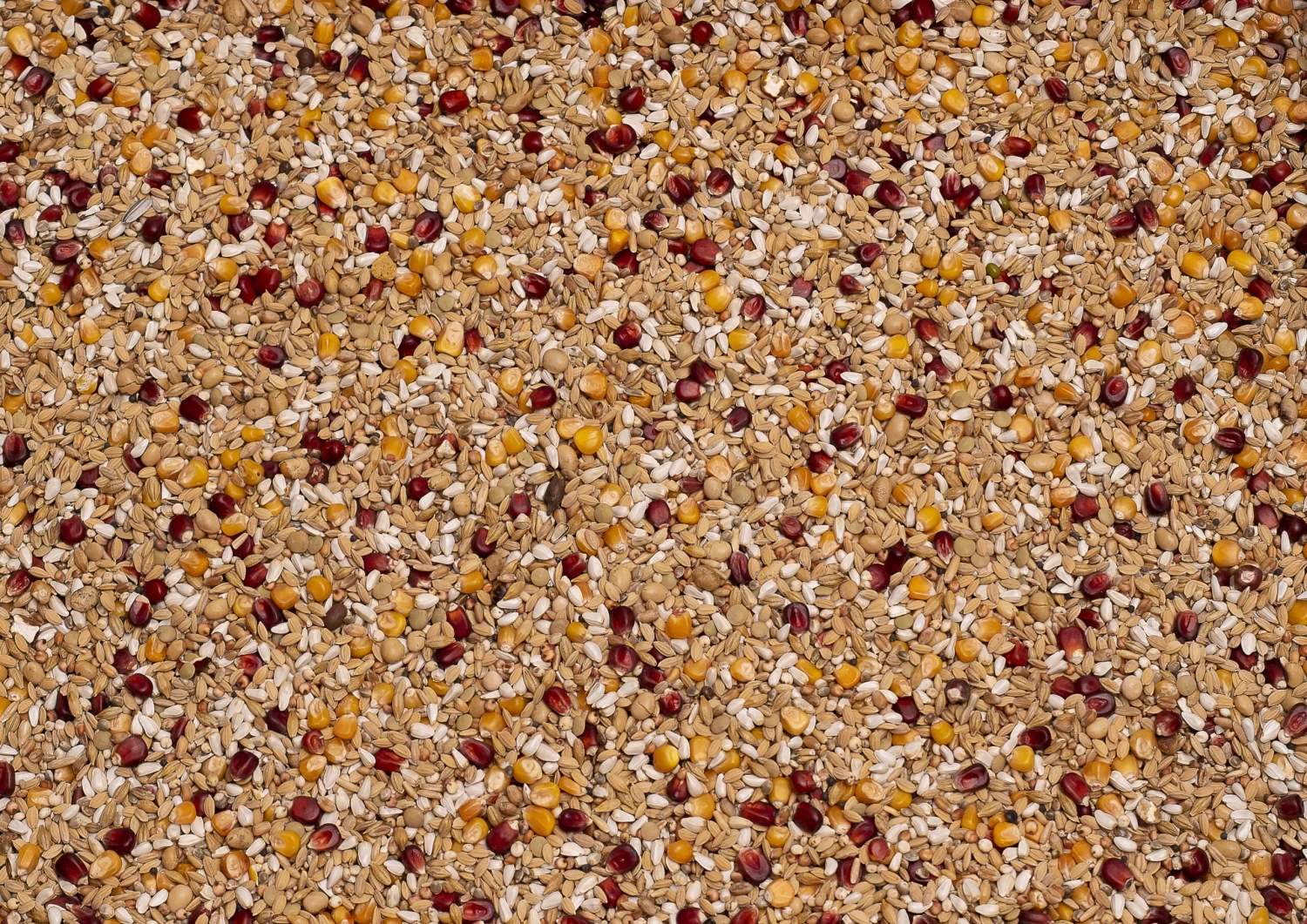 Beyers Premium Enzymix Relax 25Kg 3 Beyers Premium Enzymix Relax 25Kg