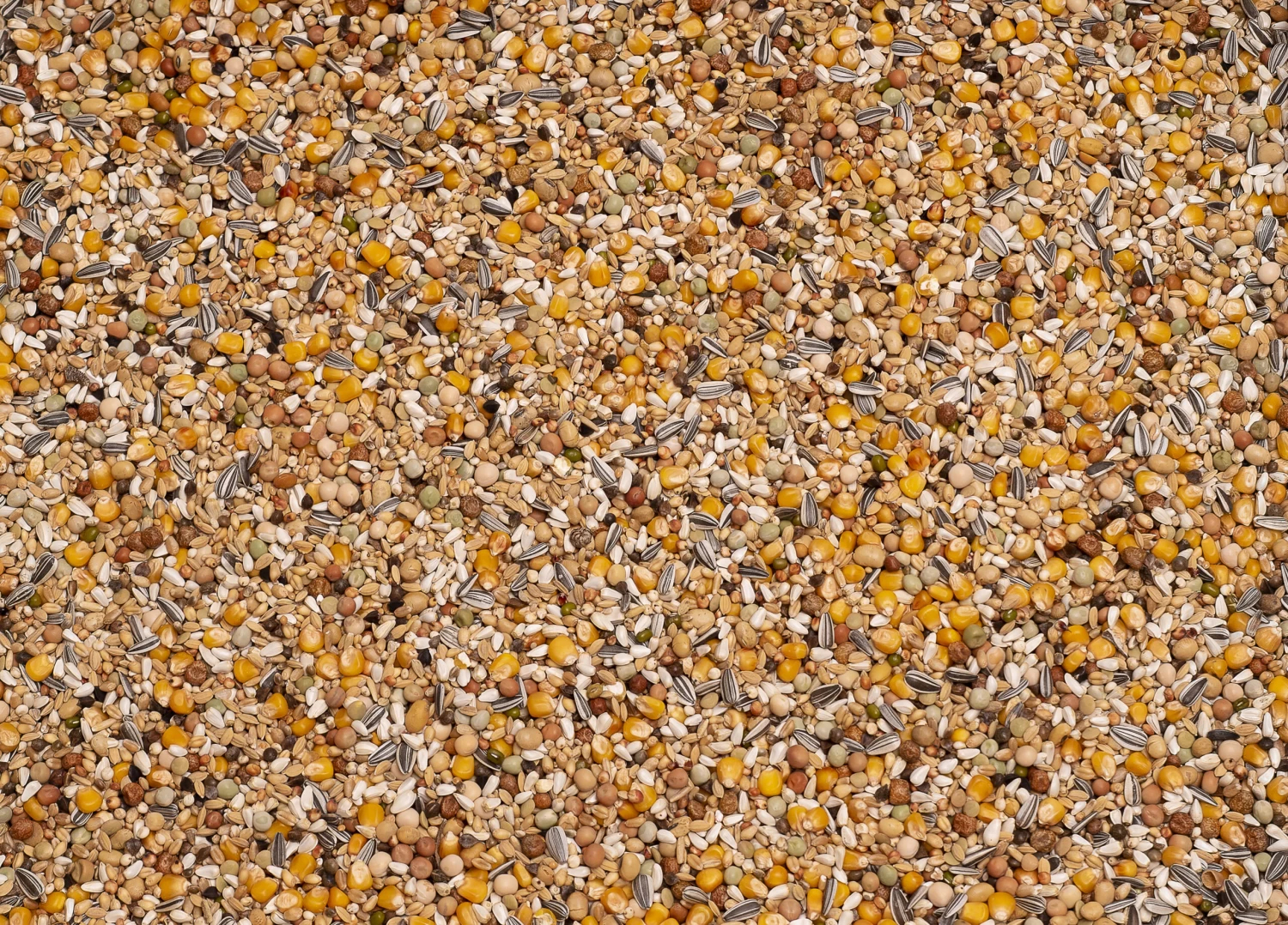 Beyers 6 Energy Soja Witwer Ost 25Kg 3 Beyers 6 Energy Soja Witwer Ost 25Kg