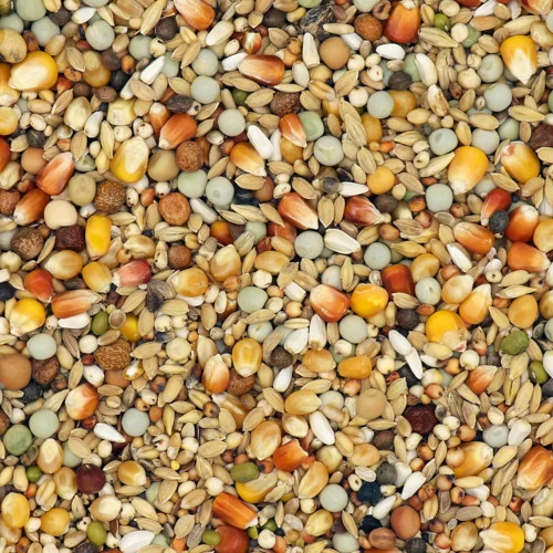 Josera Store -Josera Store junior active life