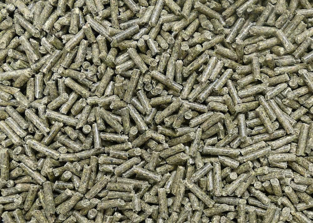 Josera Store -Josera Store z6641613318673 674a4e0c26db4a0ae42dd673f66d62d3